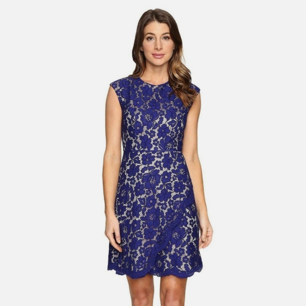 Vince Camuto Royal Blue Lace Midi Dress